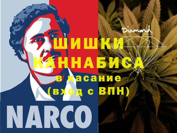 ешки Новодвинск