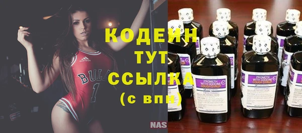 спайс Няндома