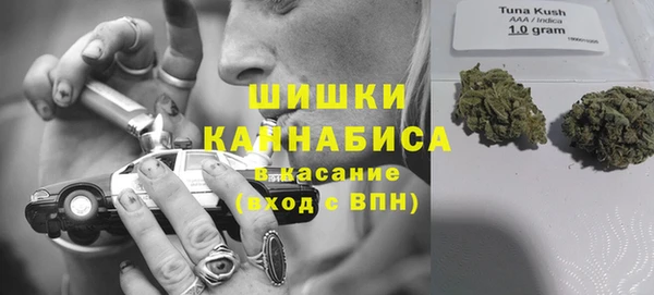 ешки Новодвинск