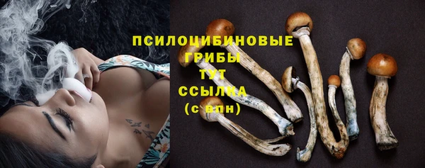 стаф Нязепетровск