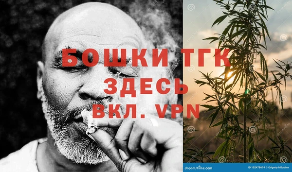 ешки Новодвинск